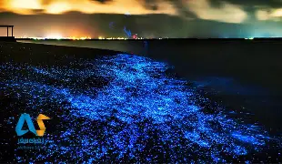 جزیره وادهو مالدیو